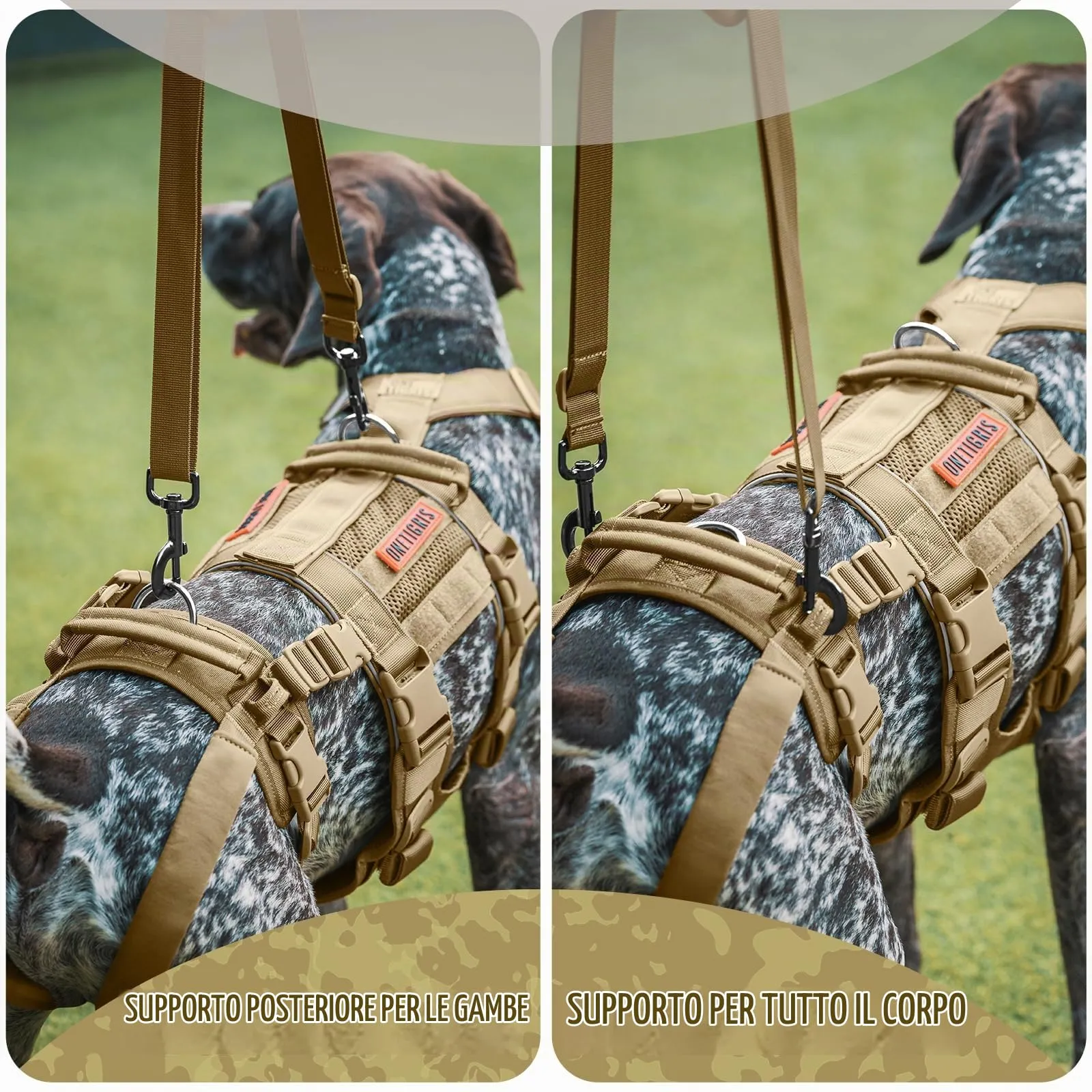 OneTigris Skyewalker - Imbracatura di supporto regolabile con 2 maniglie per supporto e riabilitazione, adatta per cani di taglia media e grande, marrone, XL - immagine 3