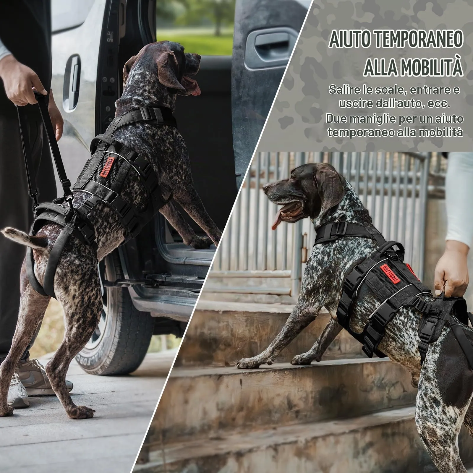 OneTigris SKYEWALKER Imbracatura per Cani, Imbracatura Regolabile con 2 Maniglie per Supporto e Riabilitazione, Adatta per Cani di Taglia Media e Grande, Nero, L - immagine 5