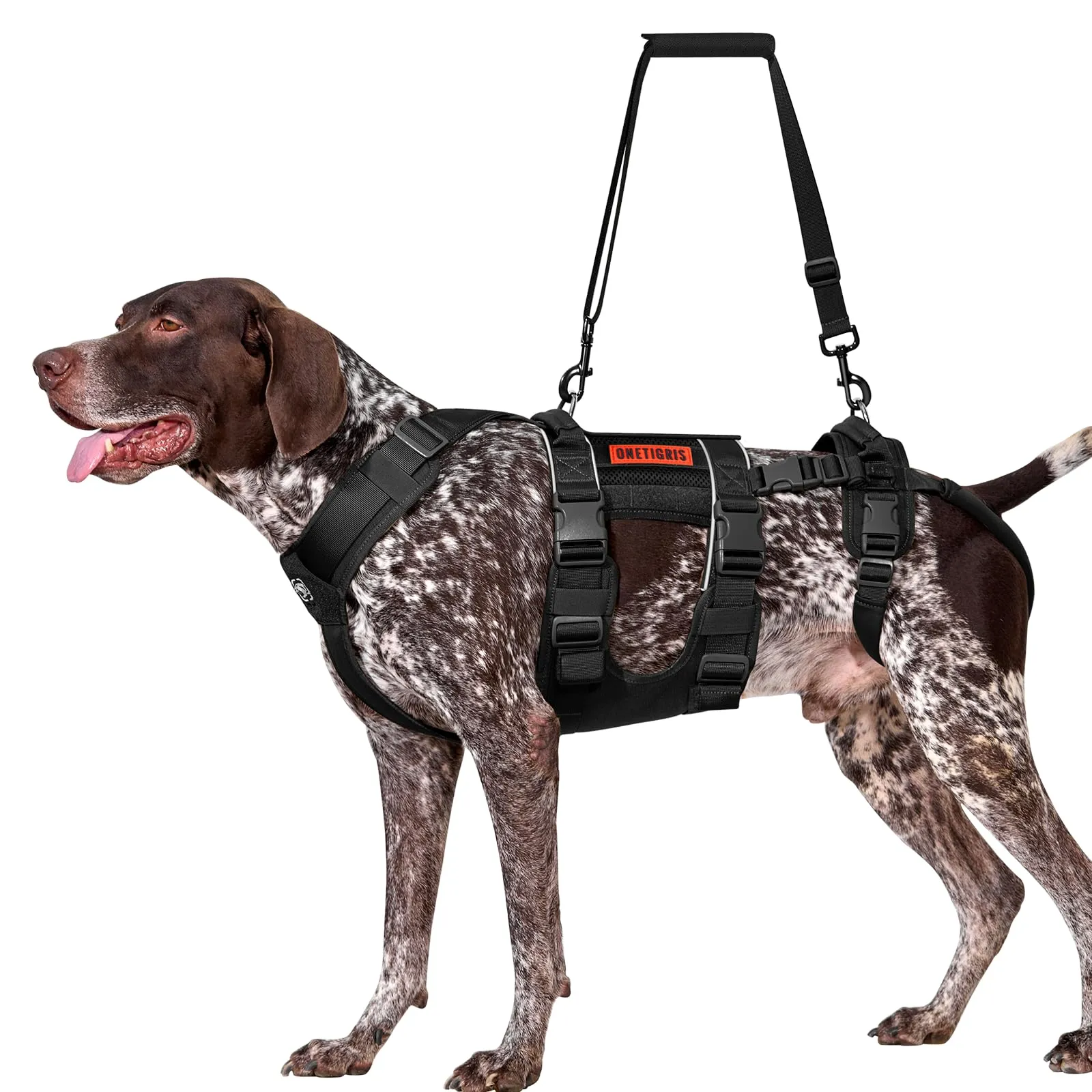 OneTigris SKYEWALKER Pettorina per Cane, Imbracatura Regolabile per Sollevamento con 2 Maniglie per Supporto e Riabilitazione, Adatta per Cani di Taglia Media e Grande, Nero, XL - immagine 1