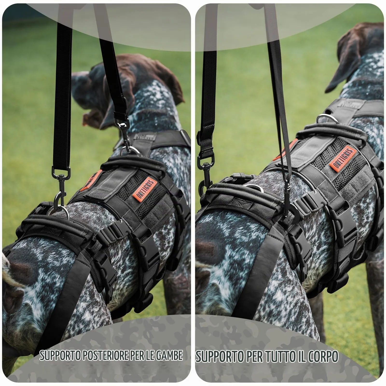 OneTigris SKYEWALKER Pettorina per Cane, Imbracatura Regolabile per Sollevamento con 2 Maniglie per Supporto e Riabilitazione, Adatta per Cani di Taglia Media e Grande, Nero, XL - immagine 3