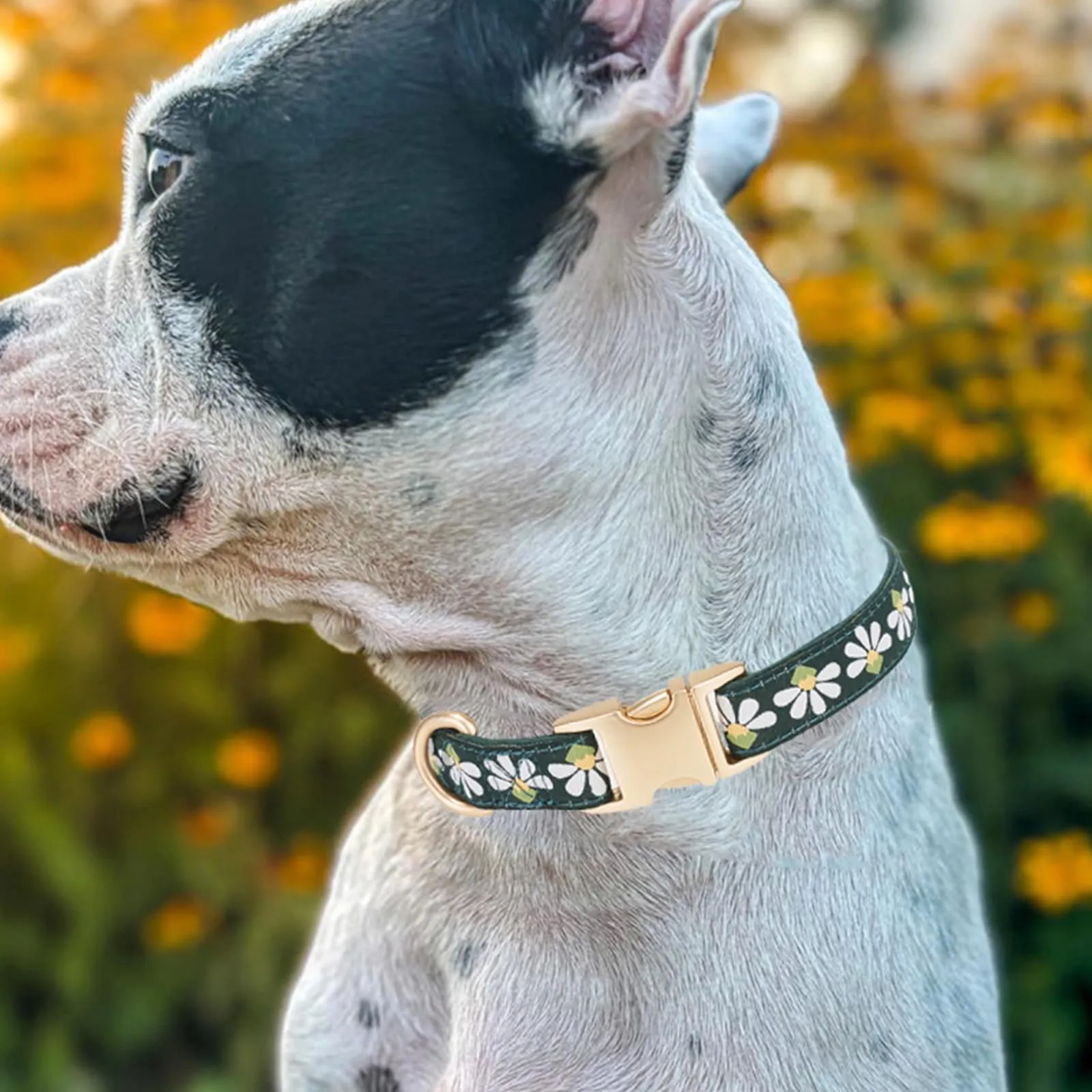 YUDOTE Collare per cani in morbido velluto a coste con nastro jacquard, collare floreale di alta qualità, per cani di piccola taglia, uso quotidiano, verde - immagine 2