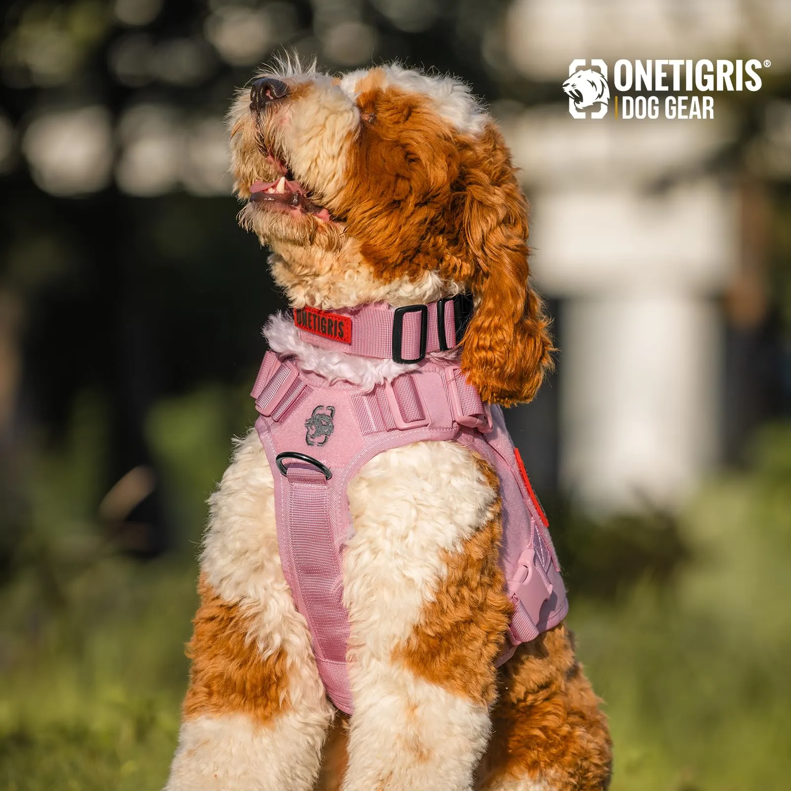 OneTigris Collare per cani con fibbia in metallo per cani (Rosa, M) - immagine 7