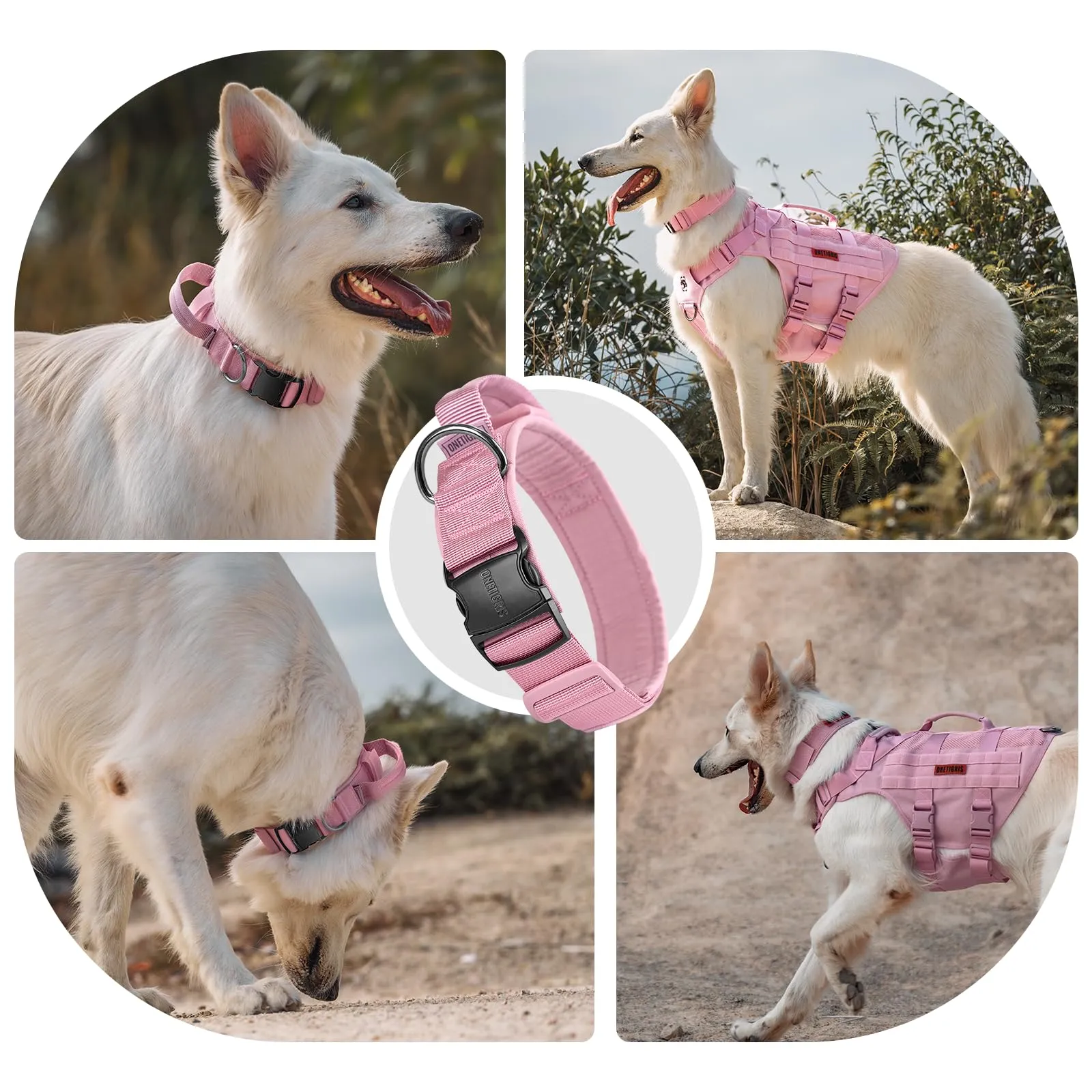 OneTigris Collare per cani con fibbia in metallo per cani (Rosa, L) - immagine 6