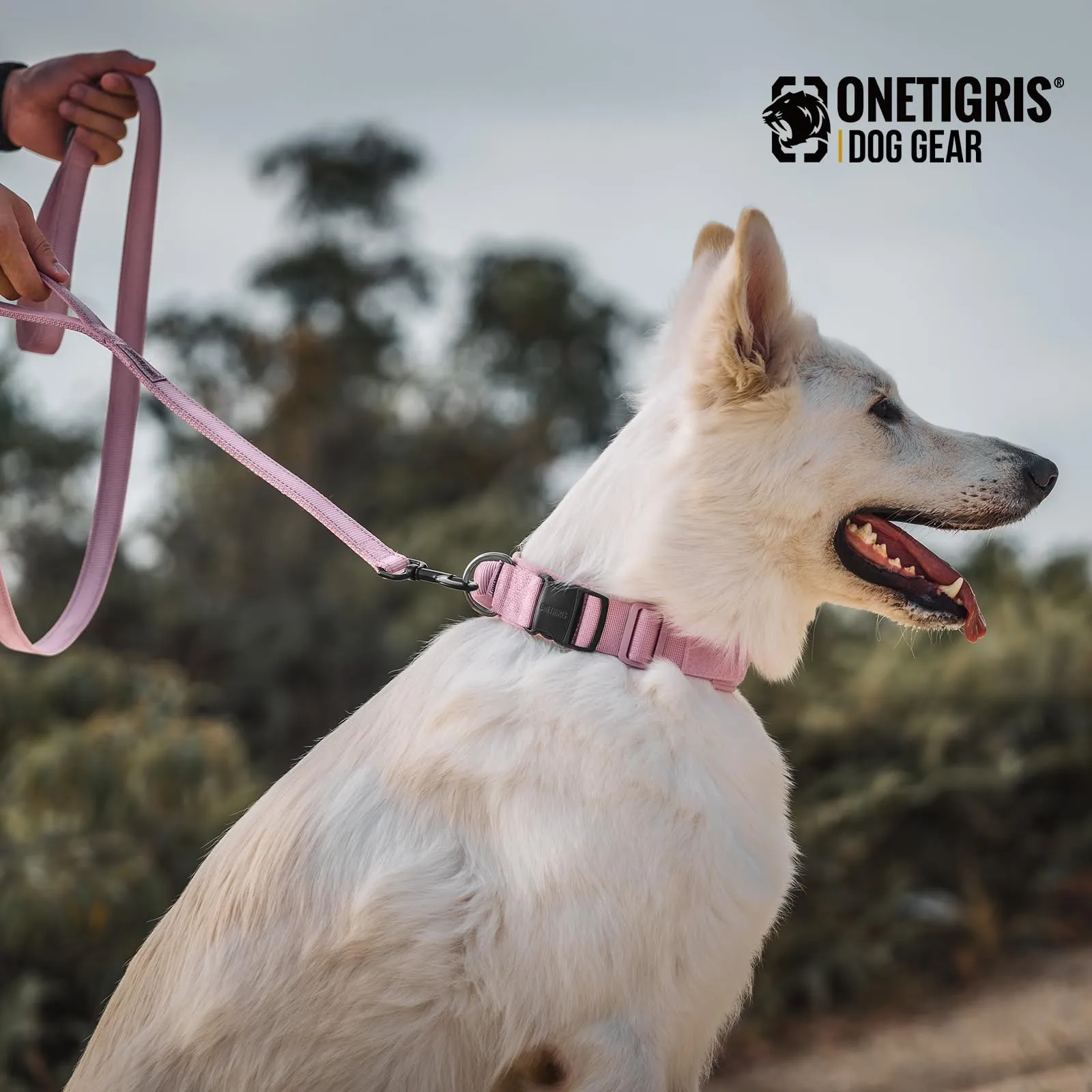 OneTigris Collare per cani con fibbia in metallo per cani (Rosa, L) - immagine 8