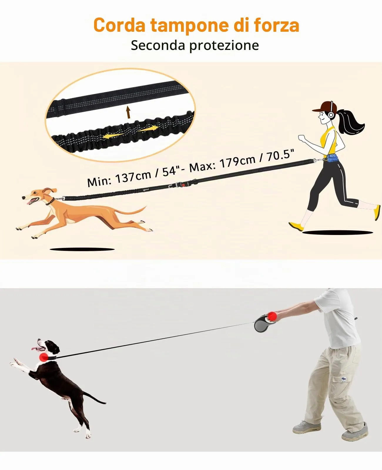 Pecute Guinzaglio Mani Libere Elastico Ammortizzante per Cani - immagine 7