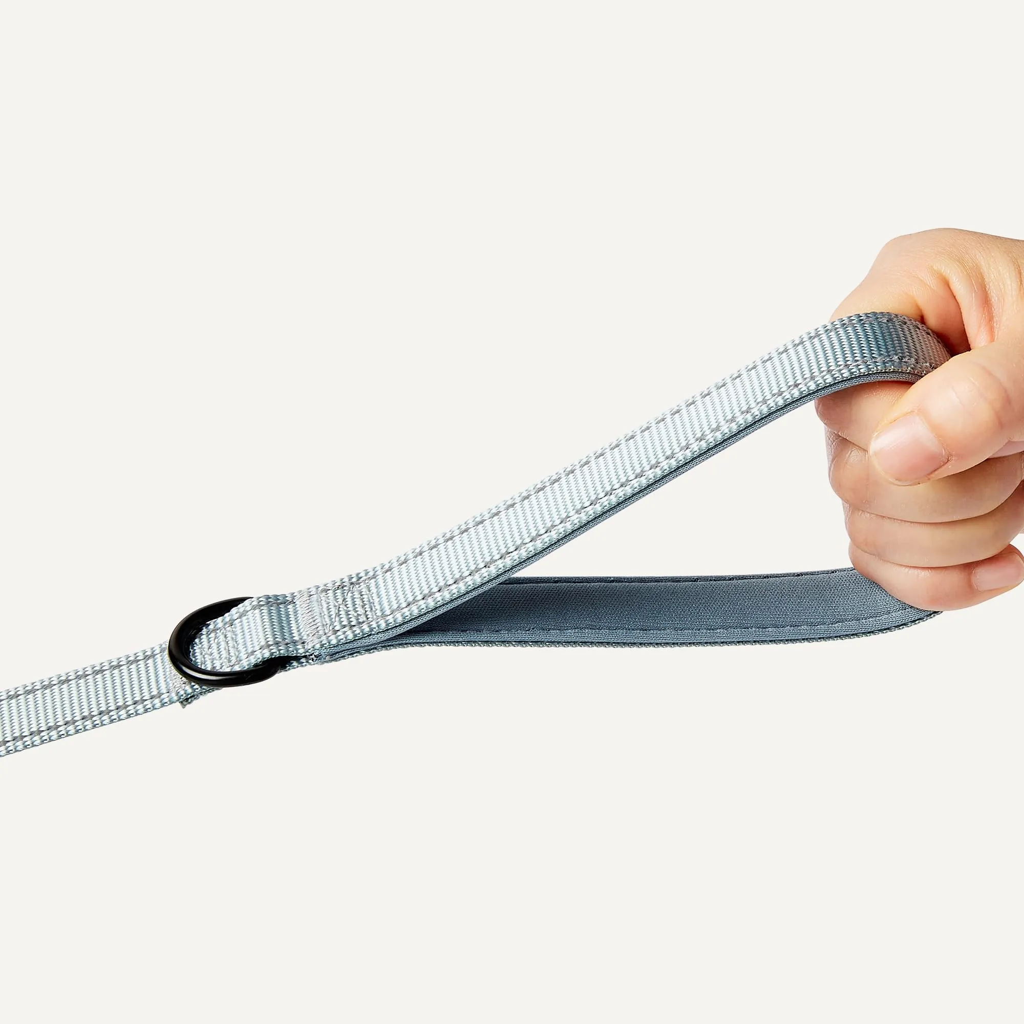Amazon Basics - Guinzaglio Riflettente su Entrambi i Lati per Cani con Doppia Impugnatura Imbottita e Anello a D, 120cm, Nero/Blu - immagine 3