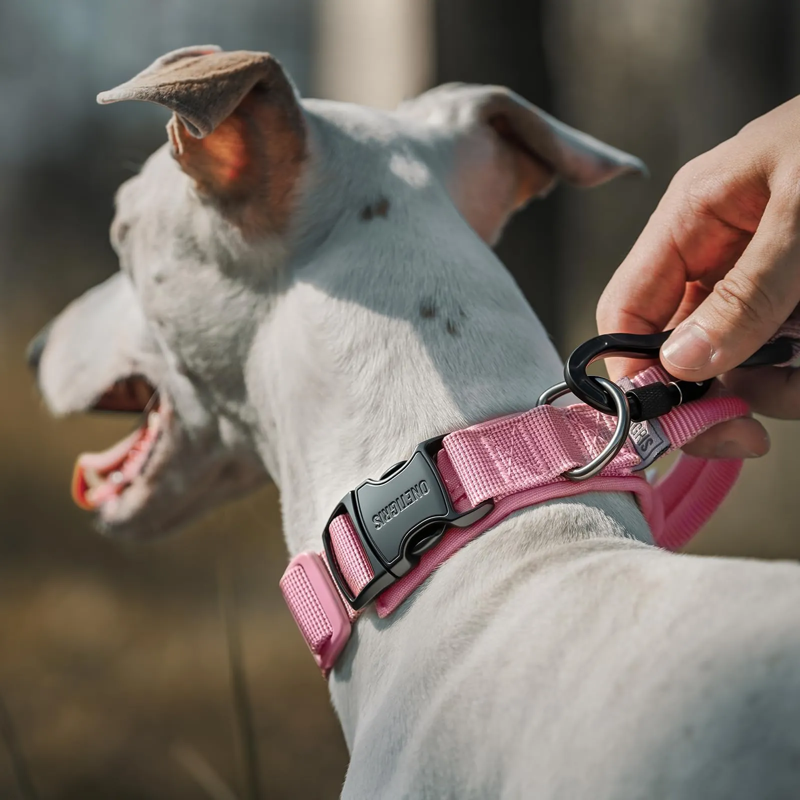 OneTigris Collare per cani con fibbia in metallo per cani (Rosa, S) - immagine 6