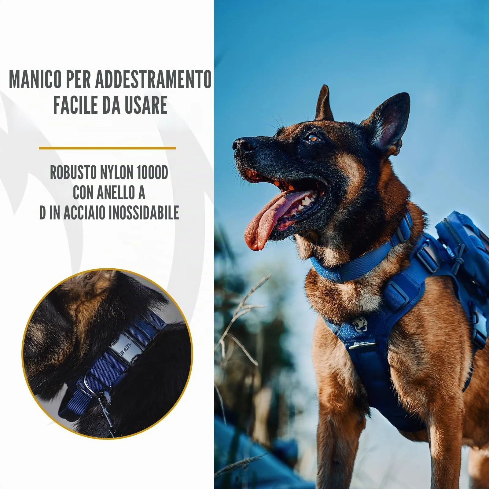 OneTigris Collare per cani con fibbia in metallo per cani (Blu, S) - immagine 4