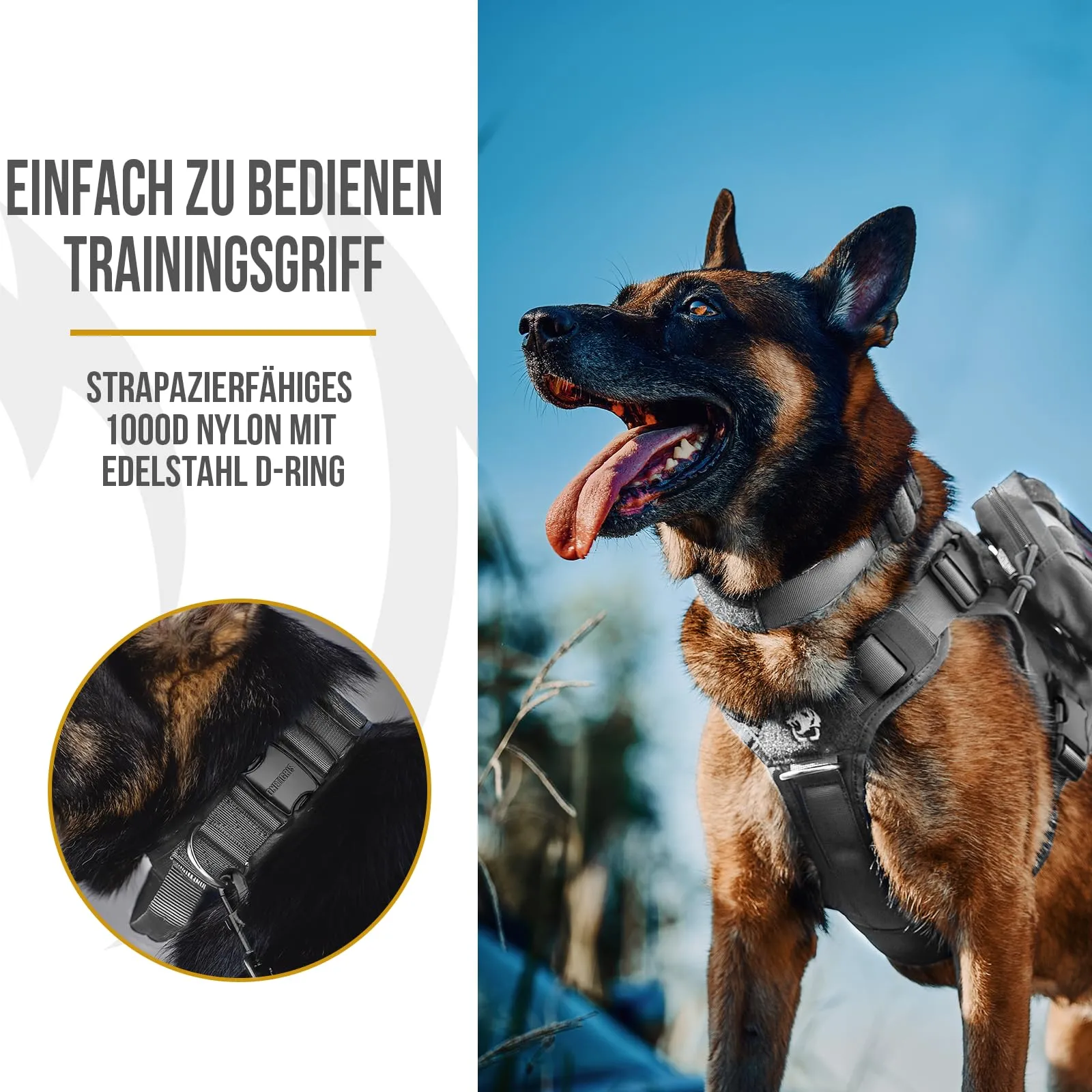 OneTigris Collare per cani con fibbia in metallo per cani (Grigio, S) - immagine 4