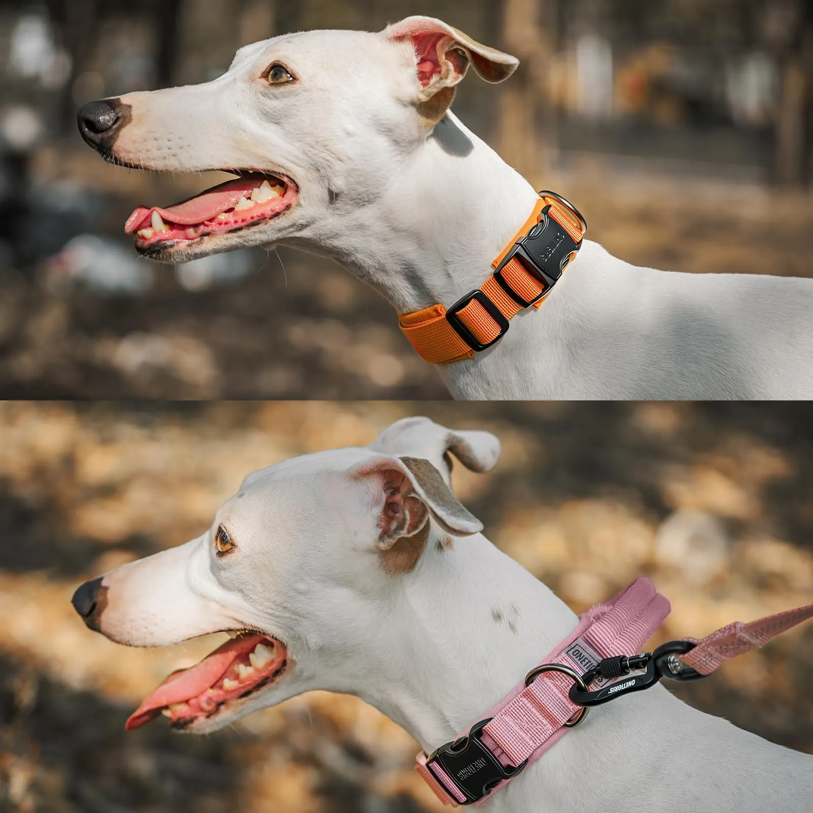 OneTigris Collare per cani con fibbia in metallo per cani (Marrone, S) - immagine 8