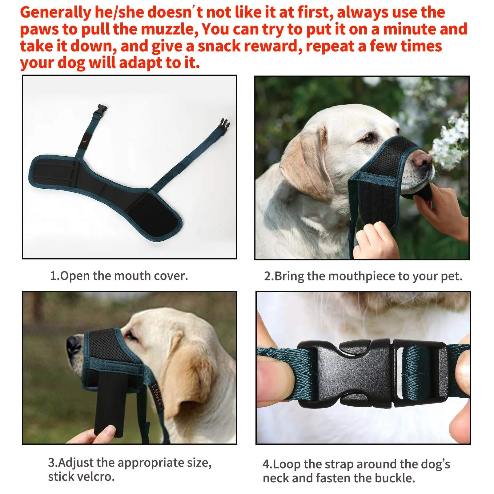 HEELE Museruola Cane Regolabile con Cuscinetto, Antiabbaio, Verde, XL - immagine 5