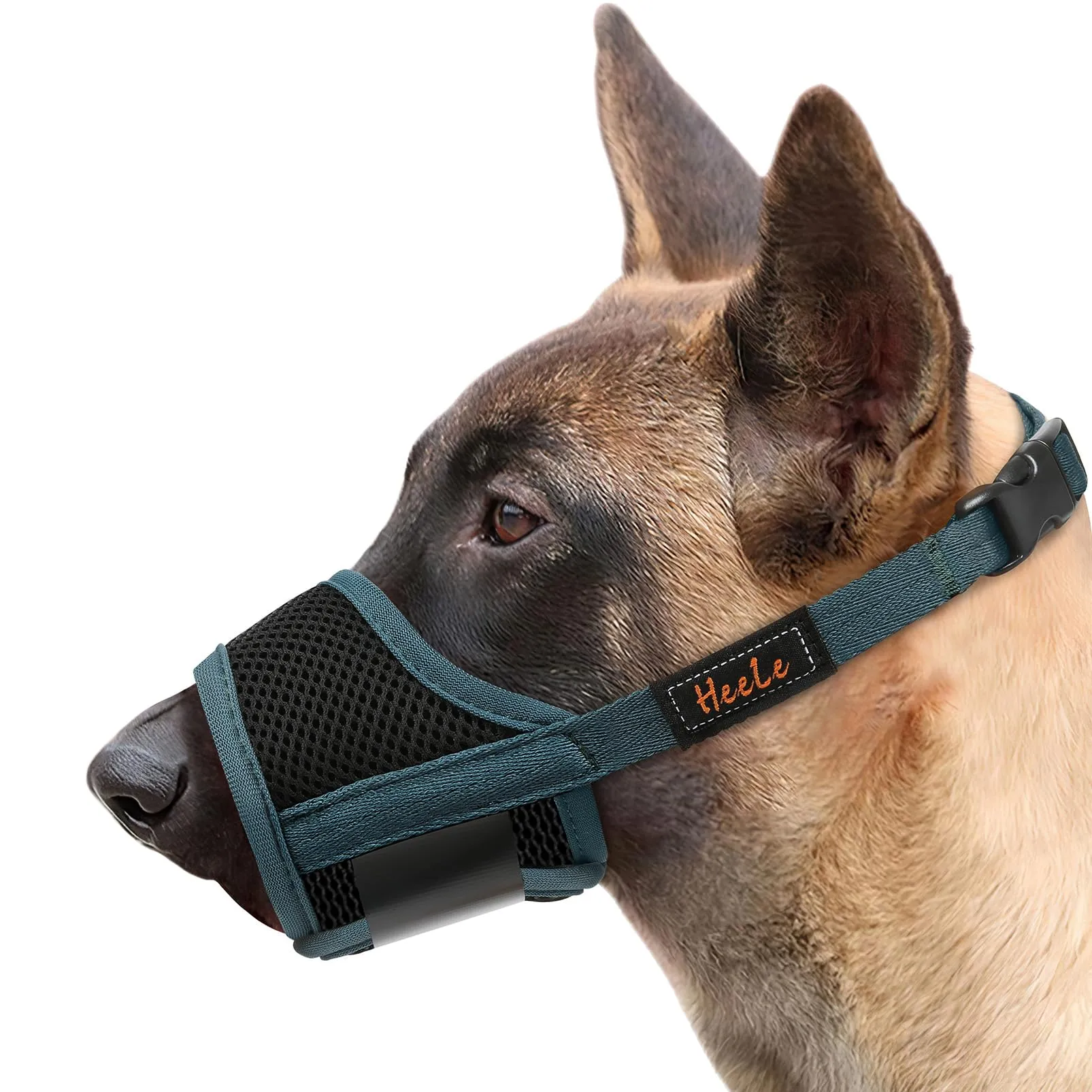 HEELE Museruola Cane, Museruola per Cane Antiabbaio in Morbida Rete Traspirante con Anello Regolabile per Cani di Taglia Medio, Antimorso Anti-Masticare Addestramento, Verde, M - immagine 1