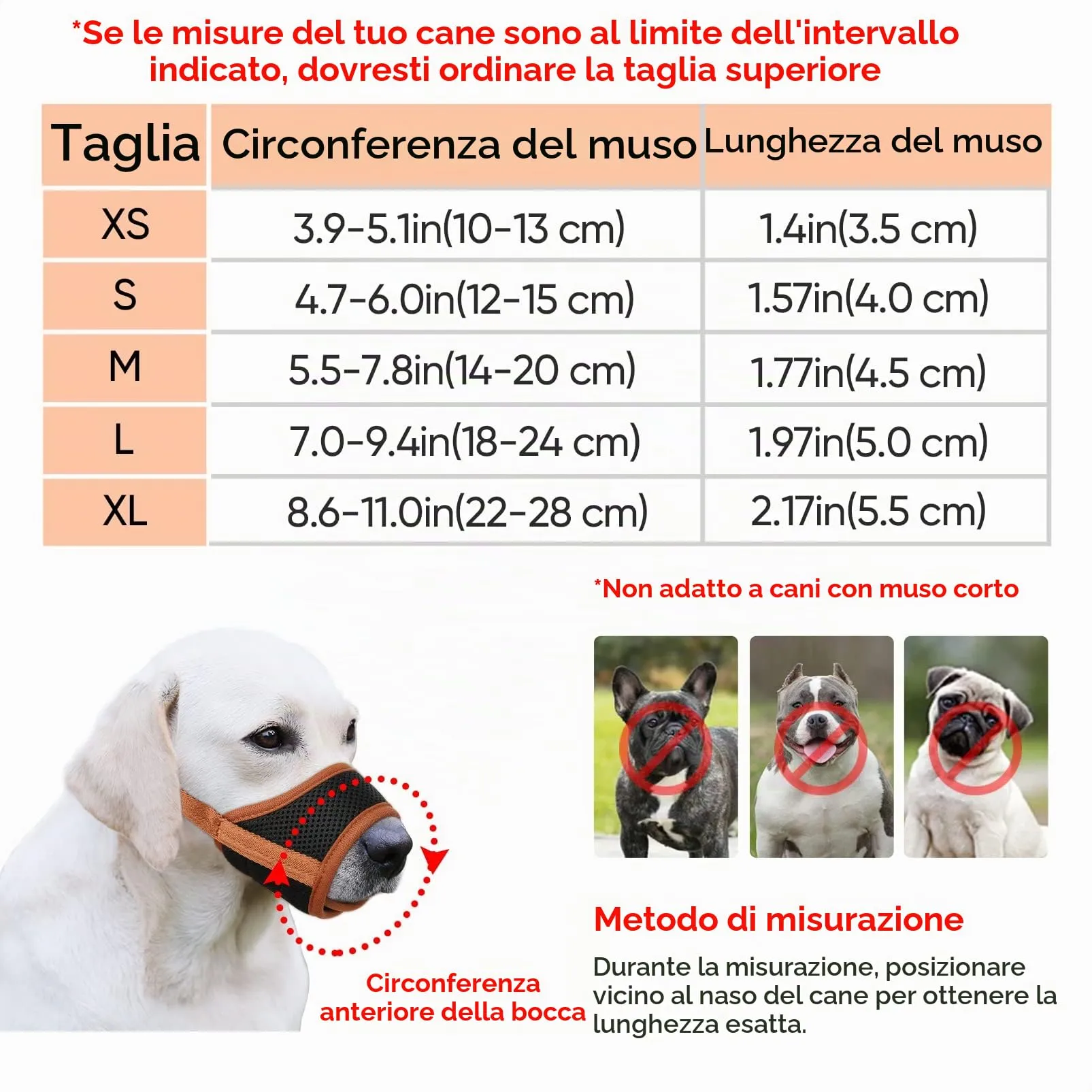 HEELE Museruola Cane, Museruola per Cane Antiabbaio in Morbida Rete Traspirante con Anello Regolabile per Cani di Taglia Medio, Antimorso Anti-Masticare Addestramento, Verde, M - immagine 2