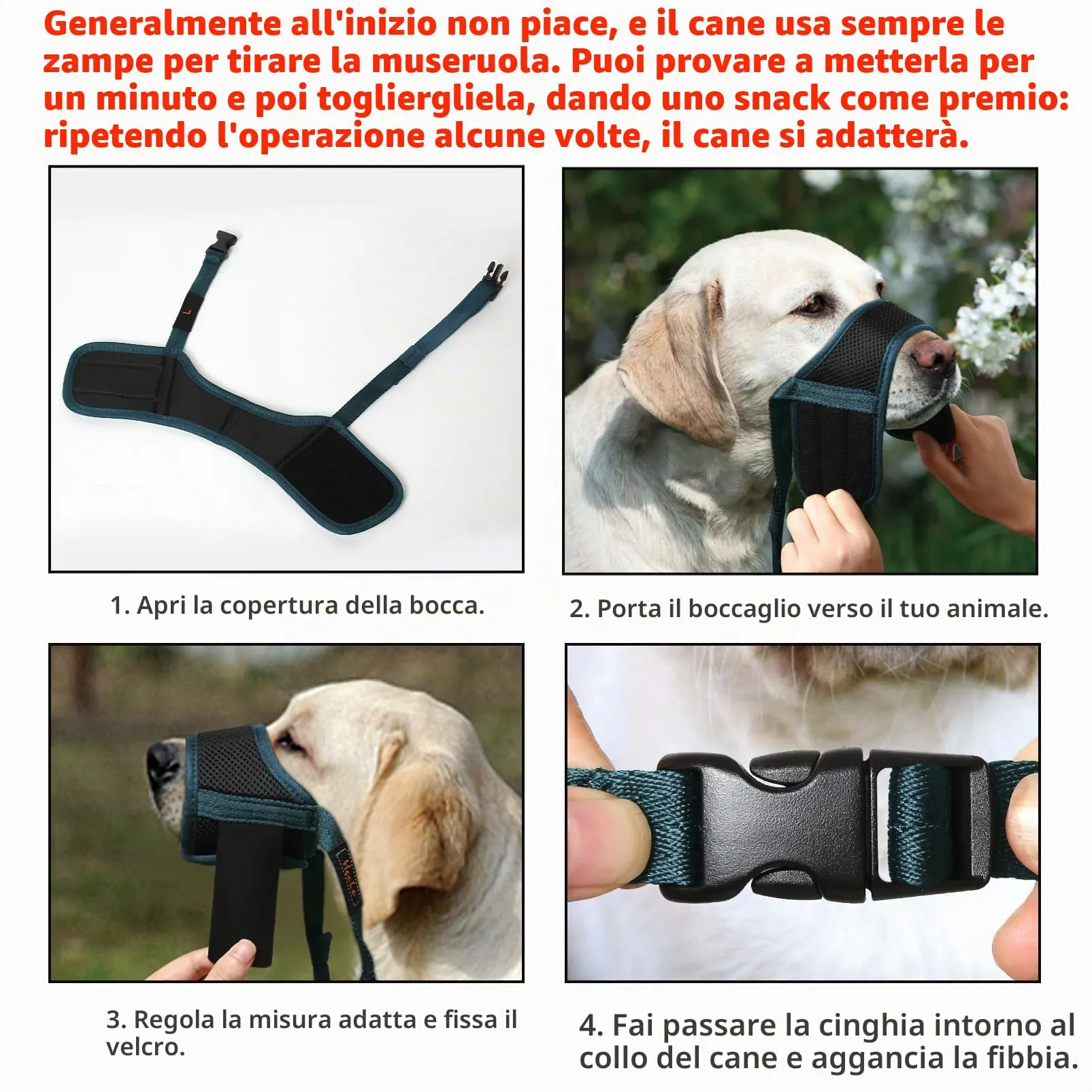 HEELE Museruola Cane, Museruola per Cane Antiabbaio in Morbida Rete Traspirante con Anello Regolabile per Cani di Taglia Medio, Antimorso Anti-Masticare Addestramento, Verde, M - immagine 5