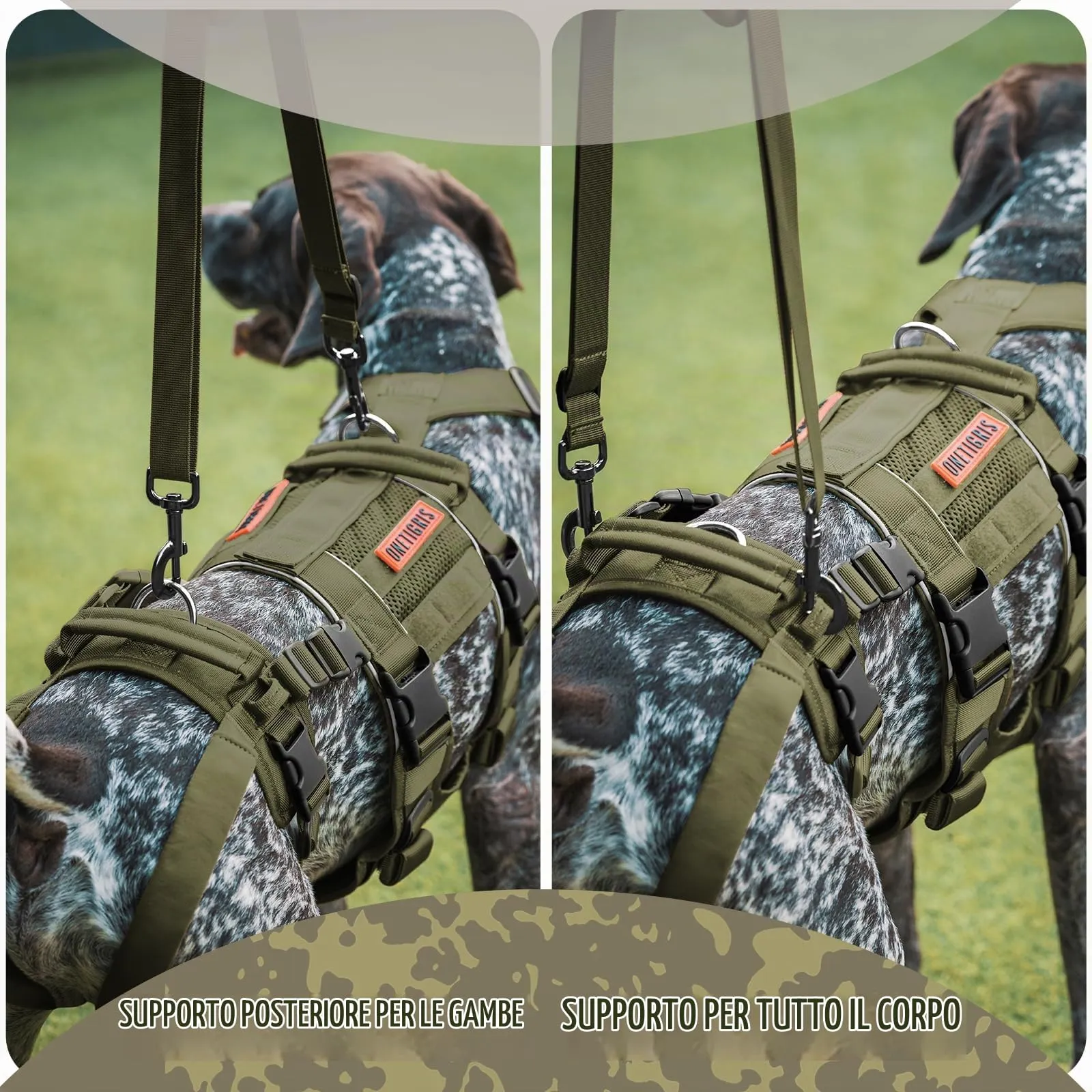 OneTigris SKYEWALKER Imbracatura per Cani, Imbracatura Regolabile con 2 Maniglie per Supporto e Riabilitazione, Adatta per Cani di Taglia Media e Grande, Verde, M - immagine 3