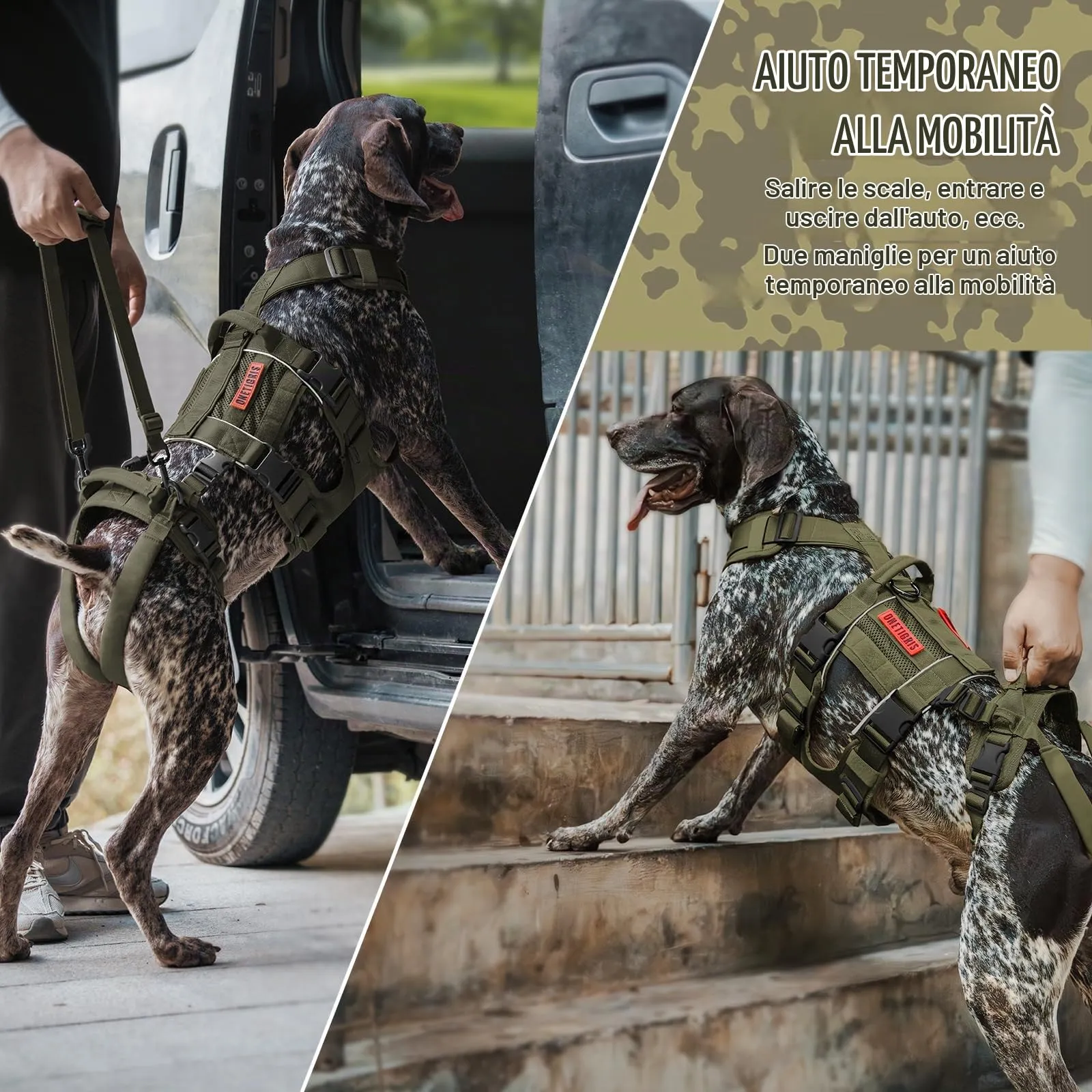 OneTigris SKYEWALKER Imbracatura per Cani, Imbracatura Regolabile con 2 Maniglie per Supporto e Riabilitazione, Adatta per Cani di Taglia Media e Grande, Verde, M - immagine 5