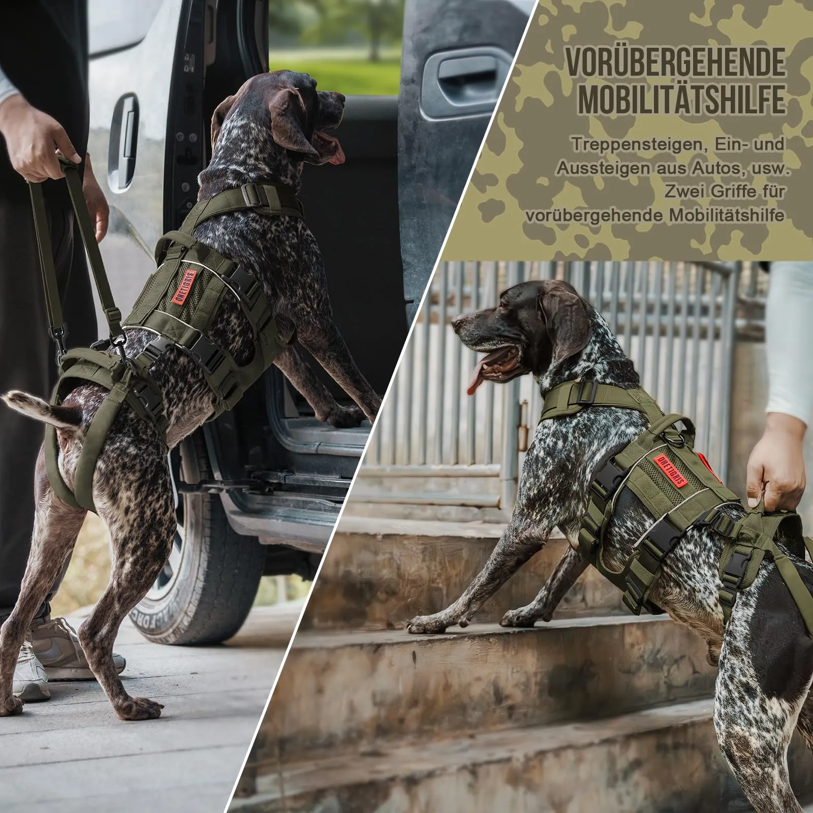 OneTigris Imbracatura per cani, SKYEWALKER Imbracatura di supporto, Pettorina di sollevamento regolabile con 2 manici per supporto e riabilitazione, adatta per cani di taglia media e grande, verde, XL - immagine 5