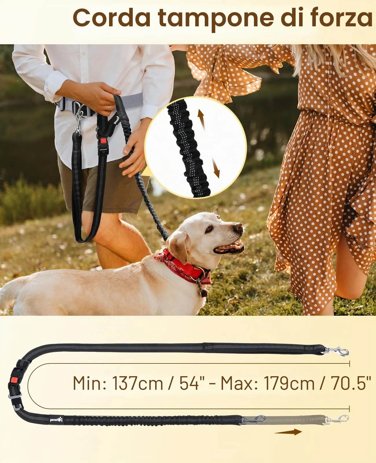 Pecute Guinzaglio Mani Libere Elastico Ammortizzante per Cani - immagine 4