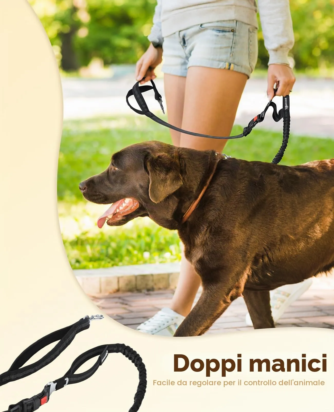 Pecute Guinzaglio Mani Libere Elastico Ammortizzante per Cani - immagine 5