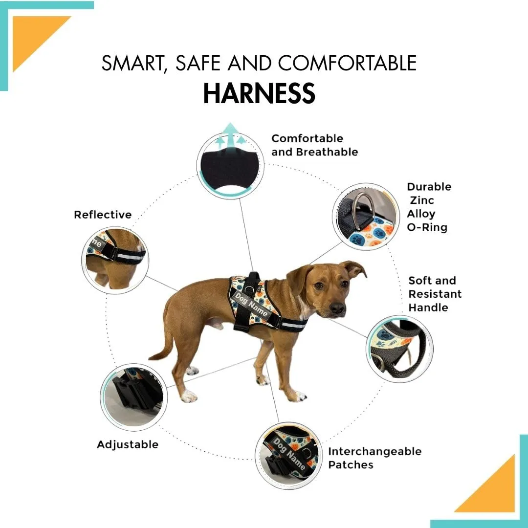 SUPER DOGGY Pettorina Cane Personalizzata con Nome – Antitrazione, Riflettente e Regolabile – Include 2 Targhette Velcro - Taglia Piccola, Media e Grande (Bones & Paws, XXL 40-75KG) - immagine 2