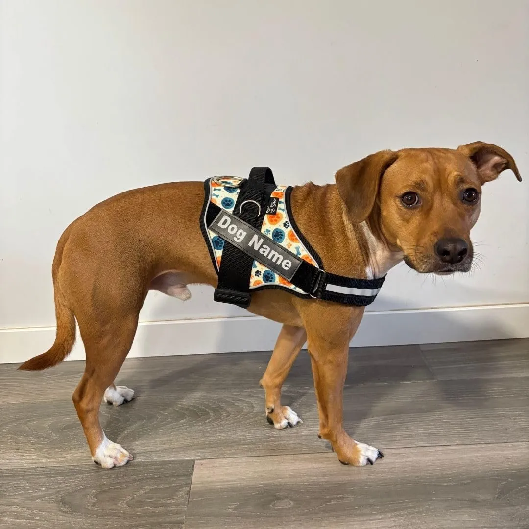 SUPER DOGGY Pettorina Cane Personalizzata con Nome – Antitrazione, Riflettente e Regolabile – Include 2 Targhette Velcro - Taglia Piccola, Media e Grande (Bones & Paws, M 13-22KG) - immagine 5