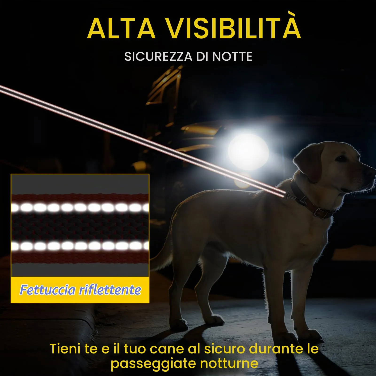X XBEN Guinzaglio per Cani, 20MM-2,2M Guinzaglio Riflettente Resistente con Manico Imbottito, Guinzaglio Addestramento per per Cuccioli, Piccoli, Medi e Grandi, Con Fili di Gomma Morbida, Rosso - immagine 6