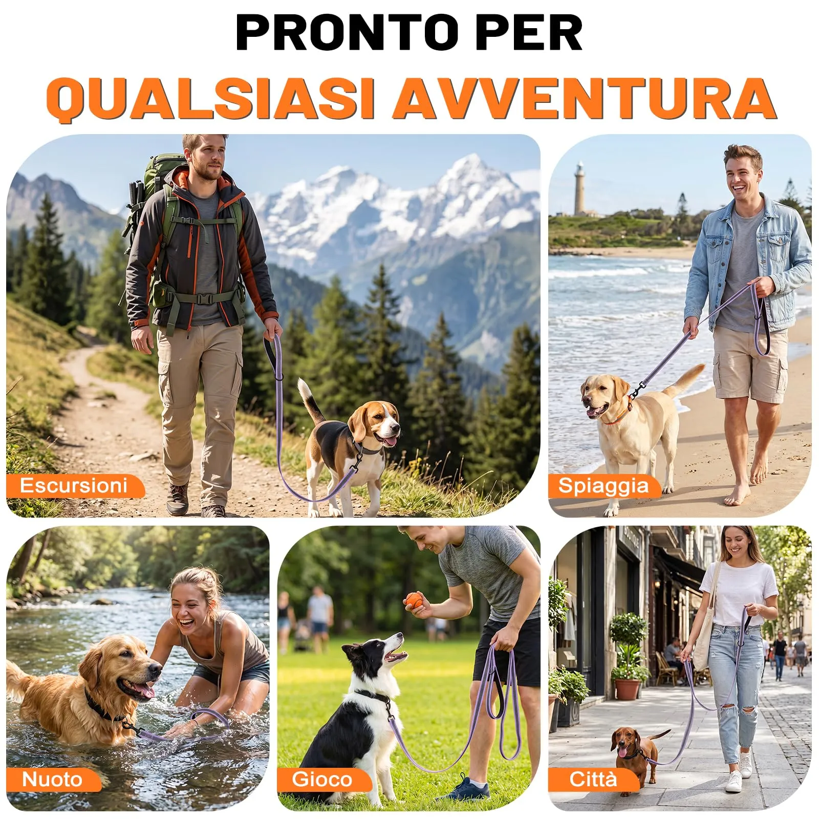 X XBEN Guinzaglio per Cani, 20MM-2M Guinzaglio Riflettente Resistente con Manico Imbottito, Guinzaglio Addestramento per per Cuccioli, Piccoli, Medi e Grandi, Con Fili di Gomma Morbida, Viola - immagine 8