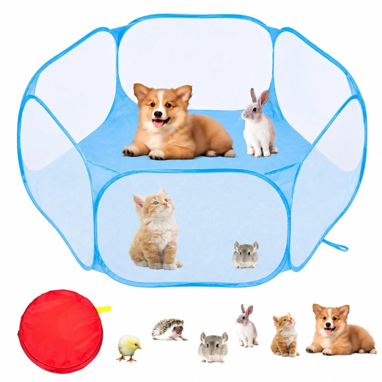 Box Gatto, QIANAI Recinto Cuccioli Gatto, Box per Piccoli Animali, Tenda per Gatti Cani Cuccioli, Box Gatti per Interno(Blu) - immagine 1