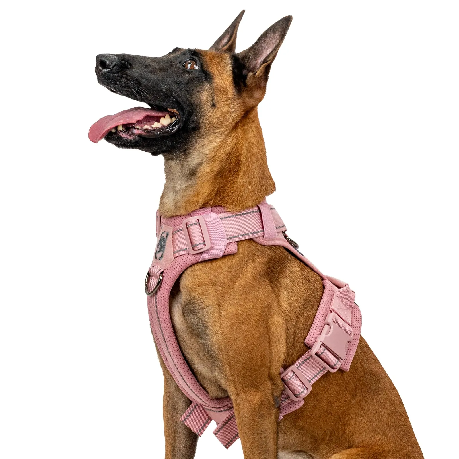 OneTigris Diesel - Pettorina per cani, regolabile, tattica, morbida imbottita, per cani di taglia media e grande, riflettente, 1 maniglia, 3 anelli a D (rosa, XL) - immagine 1