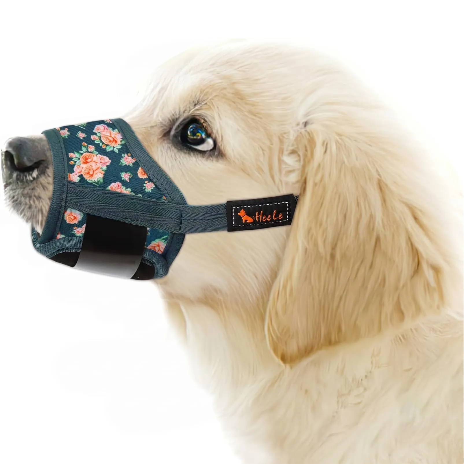 HEELE Museruola Cane con Motivo, Anti-Masticare, Fiore Verde Nerastro, XS - immagine 1