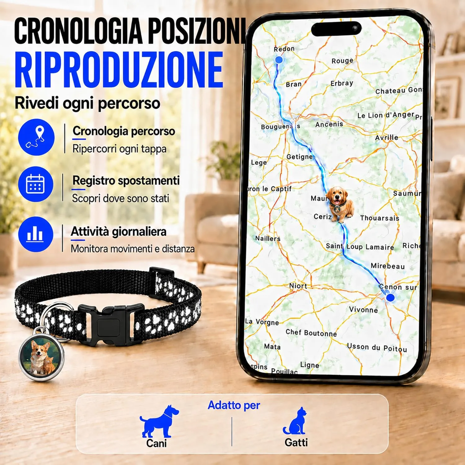 Collare GPS per Gatti,Collare GPS Gatto Nessun Abbonamento,Tracker Gatto Compatibile con iOS e Android,Localizzatori GPS Cani Posizionamento Globale Impermeabile IP67 Adatto per Gatti/Cani(Nero) - immagine 4