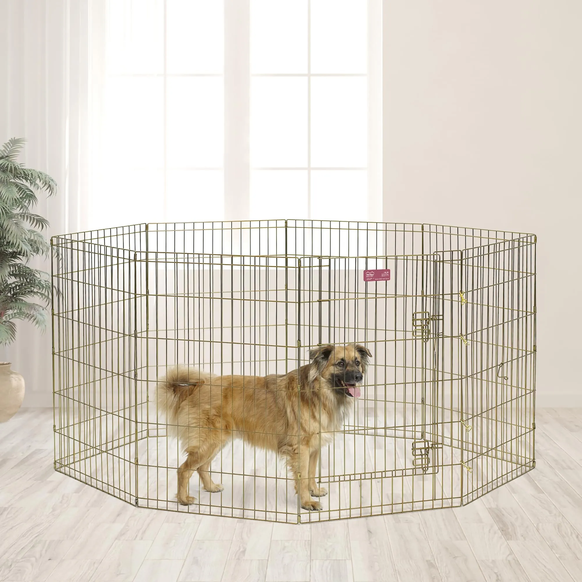 MidWest Homes for Pets 544-36, Recinto per animali in metallo, pieghevole, con porta e picchetti, offre 1,5 metri di spazio per giocare e muoversi, 91 cm di altezza, oro zinco - immagine 3