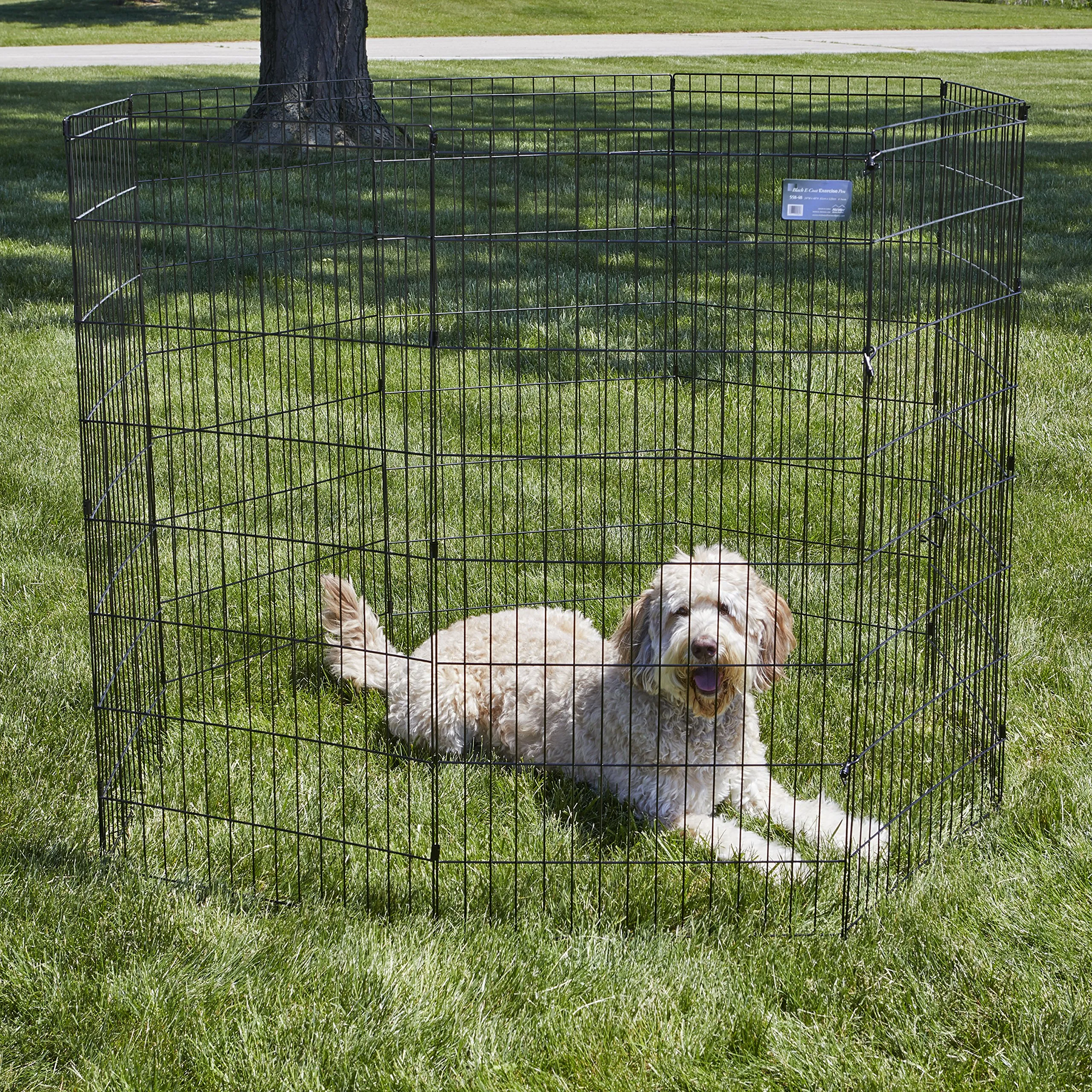 MidWest Homes for Pets, Recinto per animali in metallo, pieghevole, senza porta, con picchetti e rivestimento per elettrodeposizione nero, offre 1,5 metri di spazio per giocare, 122 cm di altezza - immagine 2