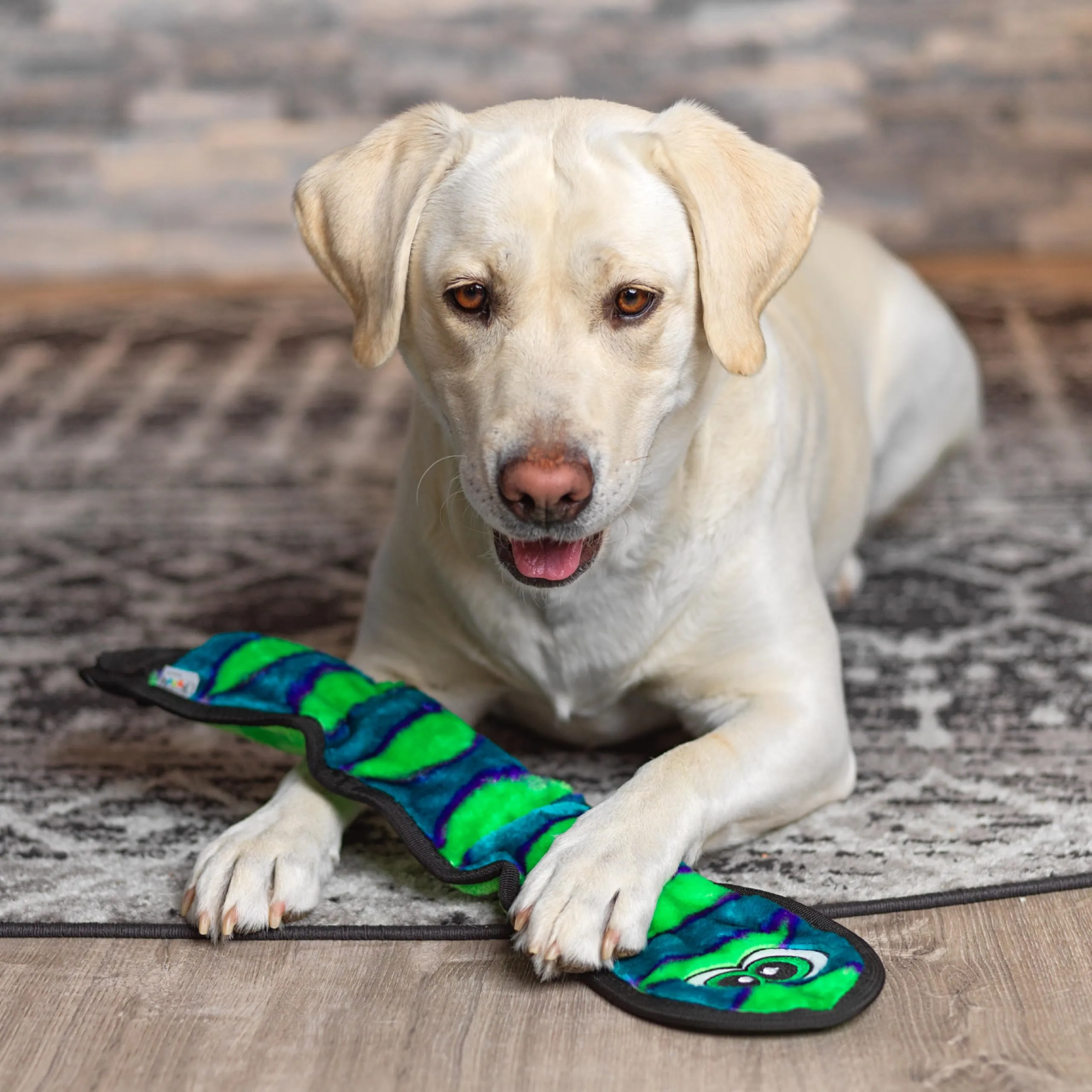 Outward Hound Invincibles - gioco felpato a forma di serpente - per cani - azzurro - L - immagine 2