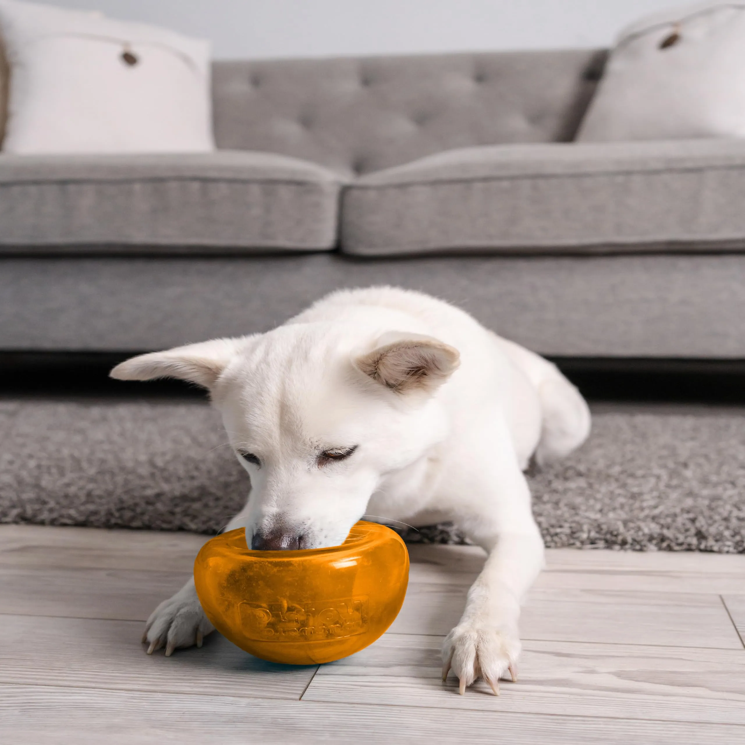 Planet Dog Orbee-Tuff Snoop - Gioco interattivo per cani - erogatore di ricompensa - arancione - grande - immagine 2