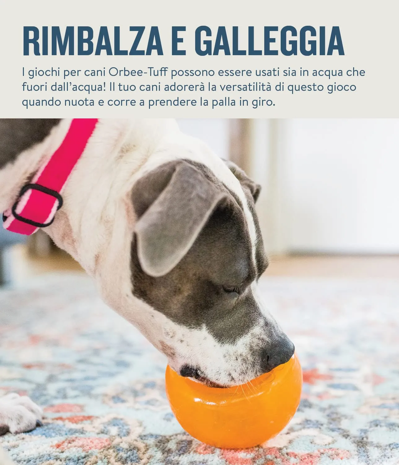 Planet Dog Orbee-Tuff Snoop - Gioco interattivo per cani - erogatore di ricompensa - arancione - grande - immagine 7
