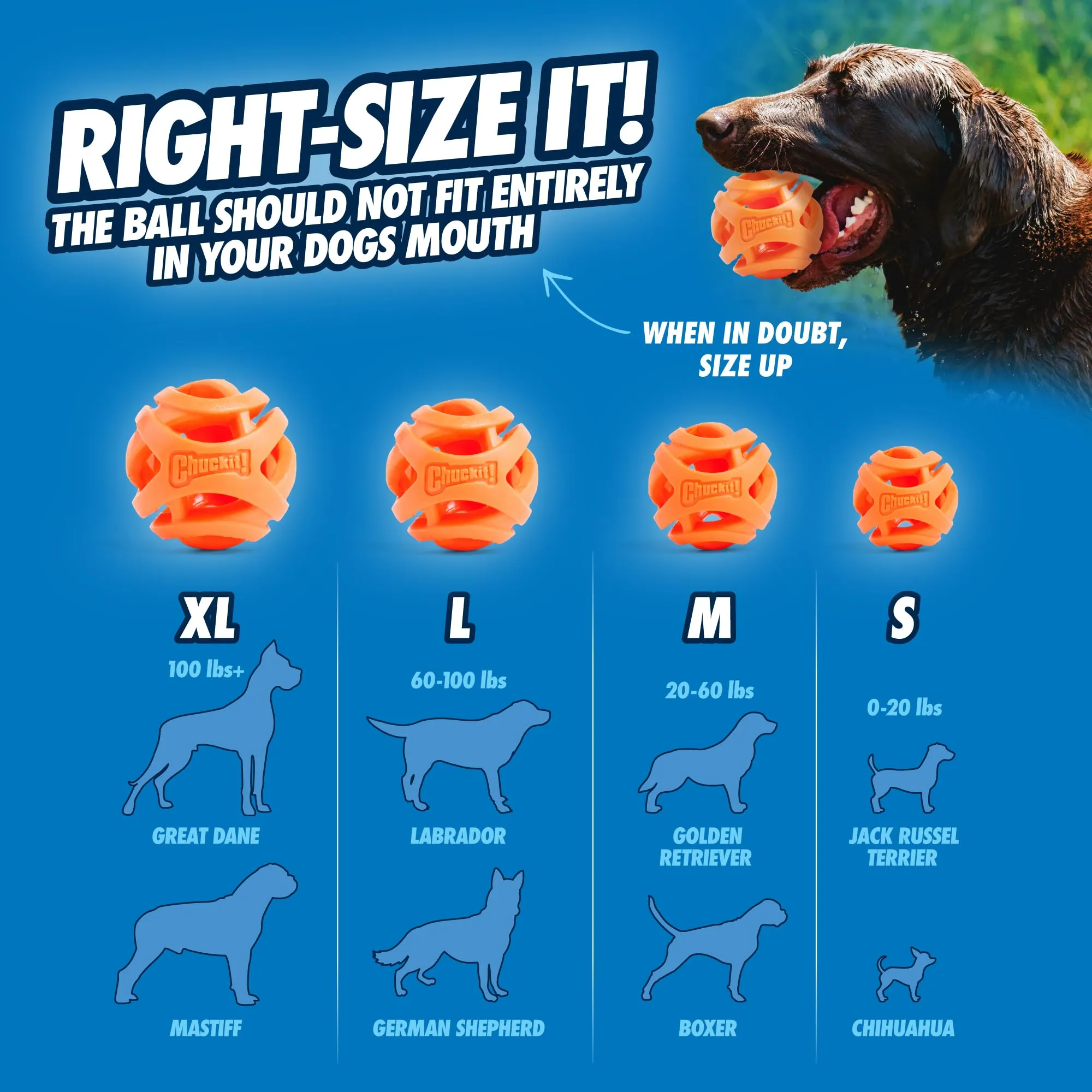 Chuckit Palla Breathe Right Fetch Ball Large, Palla da Perseguire per Il Cane, L - immagine 6