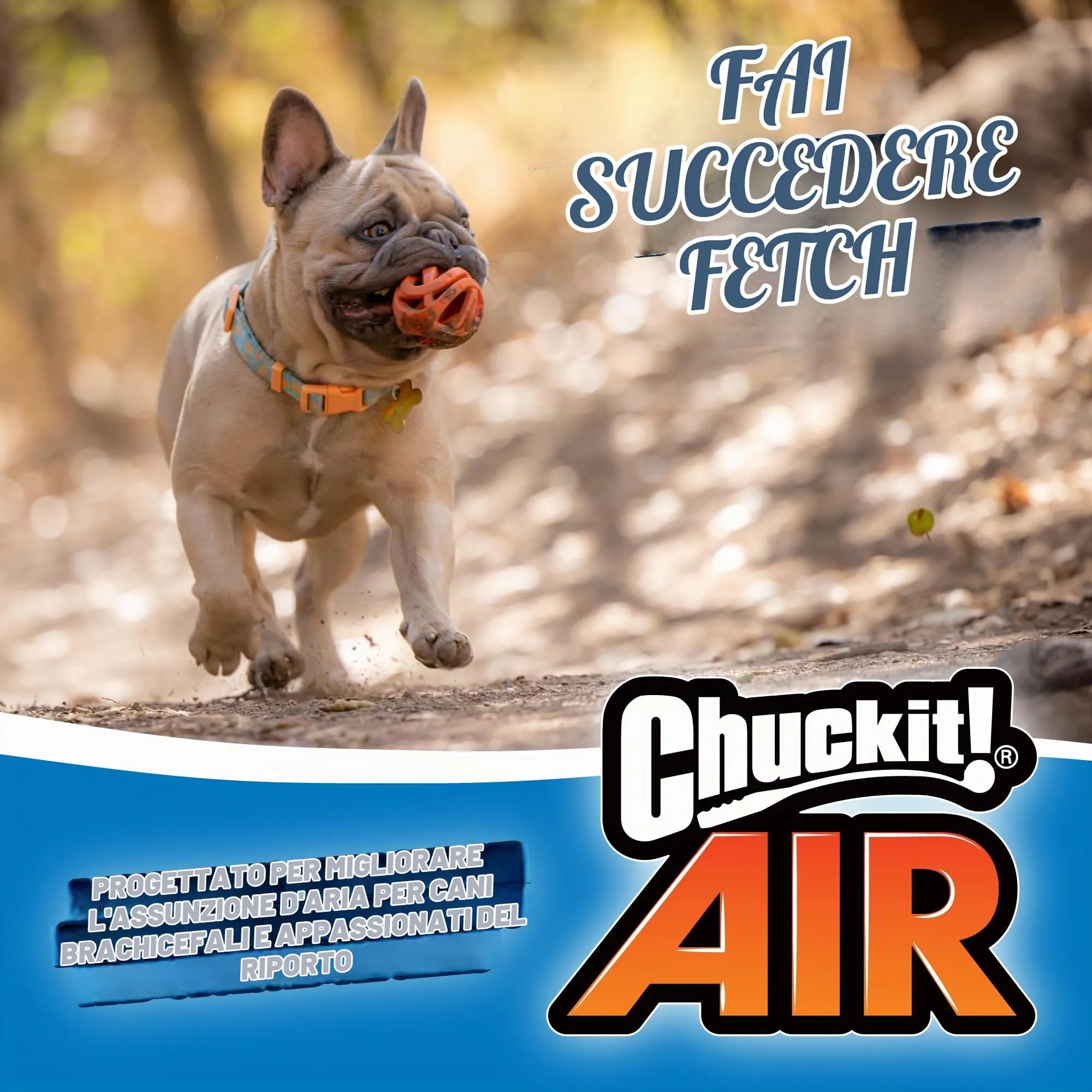 Chuckit Palla Breathe Right Fetch Ball Large, Palla da Perseguire per Il Cane, L - immagine 8