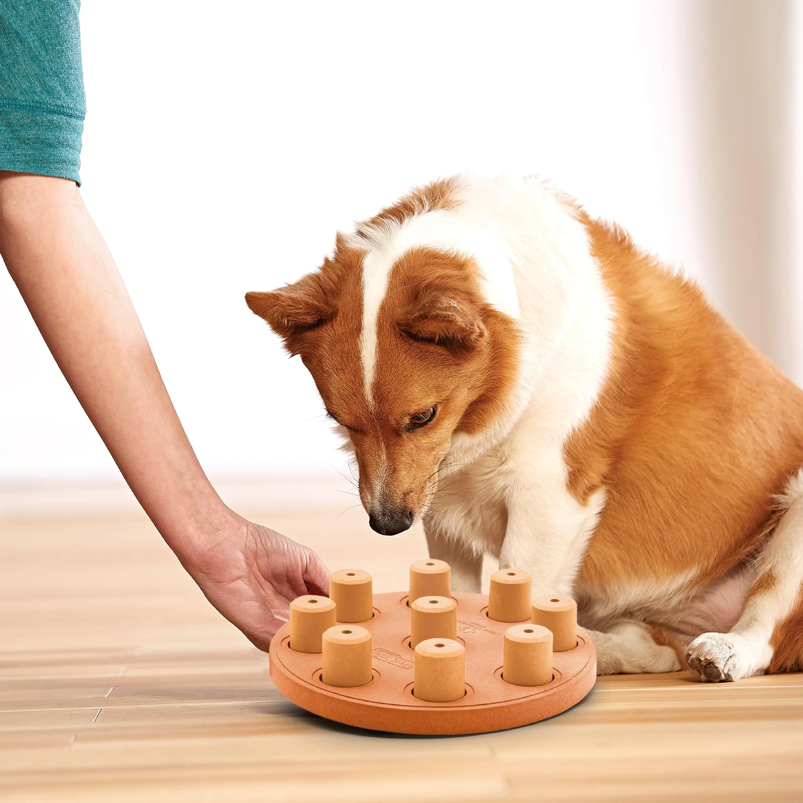 Nina Ottosson di Outward Hound Dog Smart - gioco rompicapo interattivo per cani - erogatore di ricompense - in materiale composito - arancione - immagine 2