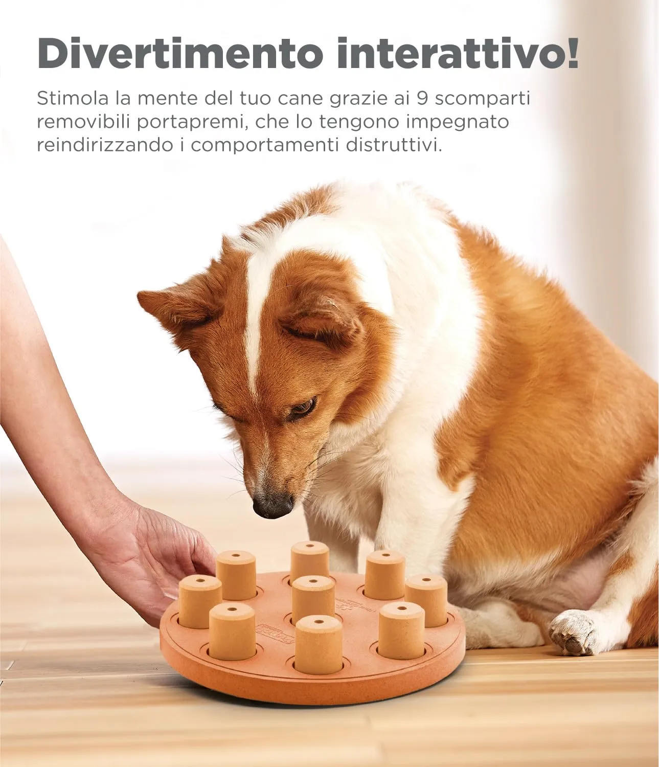 Nina Ottosson di Outward Hound Dog Smart - gioco rompicapo interattivo per cani - erogatore di ricompense - in materiale composito - arancione - immagine 3