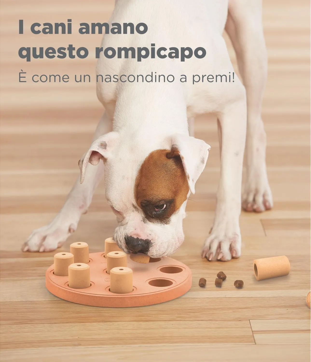 Nina Ottosson di Outward Hound Dog Smart - gioco rompicapo interattivo per cani - erogatore di ricompense - in materiale composito - arancione - immagine 4