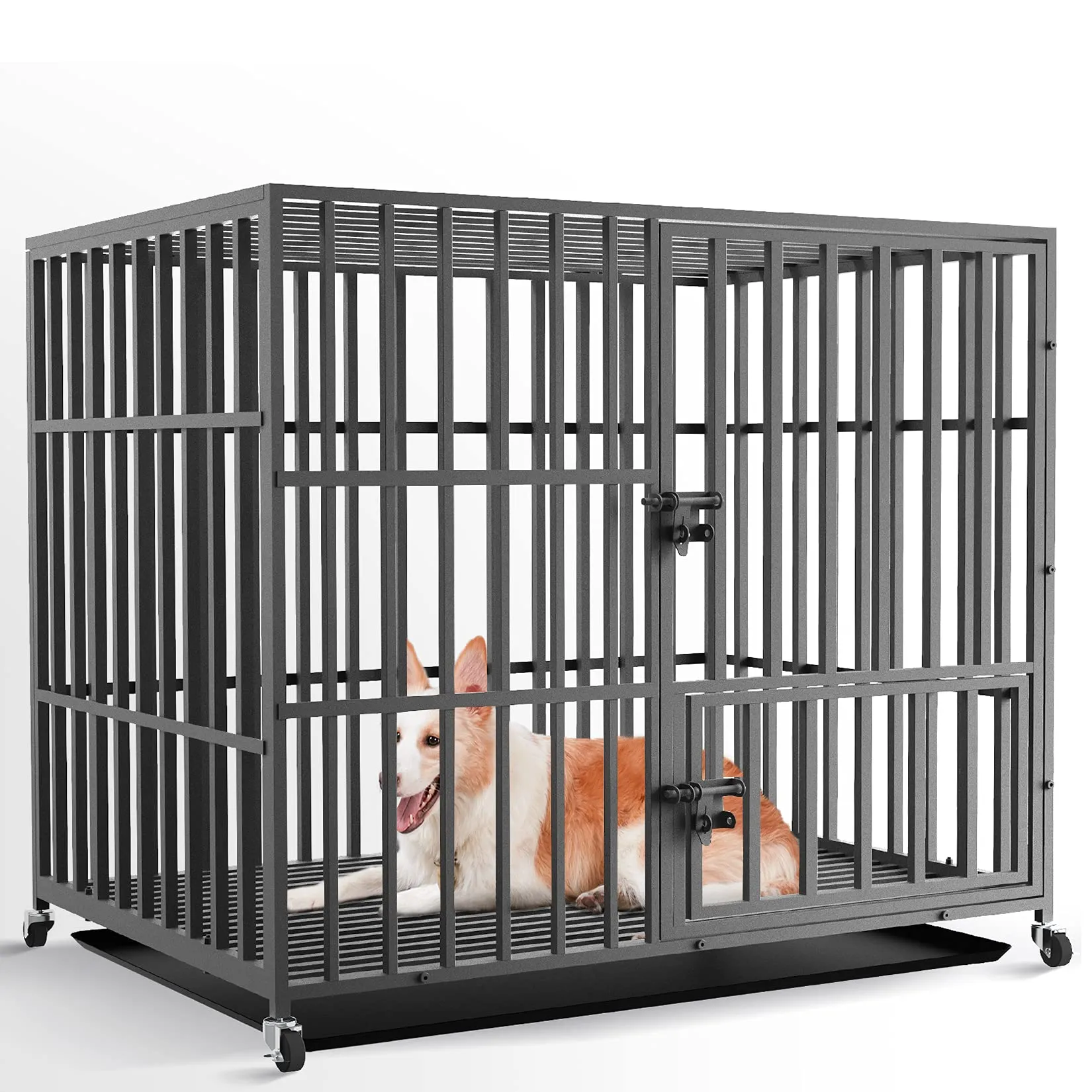 BingoPaw Gabbia Robusta per cani Antimorso: XL Gabbia Rinforzata per cani Taglia Grande Kennel Cane con Ruote Interno Trasportino Resistente Metallo Struttura Pesante, 2 Chiavistelli 107x77,5x88,5cm - immagine 1