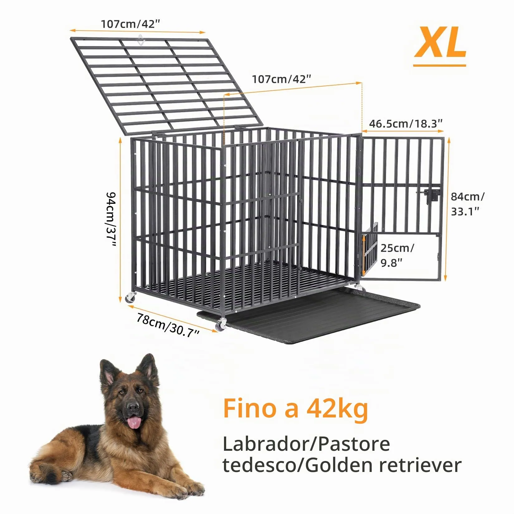 BingoPaw Gabbia Robusta per cani Antimorso: XL Gabbia Rinforzata per cani Taglia Grande Kennel Cane con Ruote Interno Trasportino Resistente Metallo Struttura Pesante, 2 Chiavistelli 107x77,5x88,5cm - immagine 4