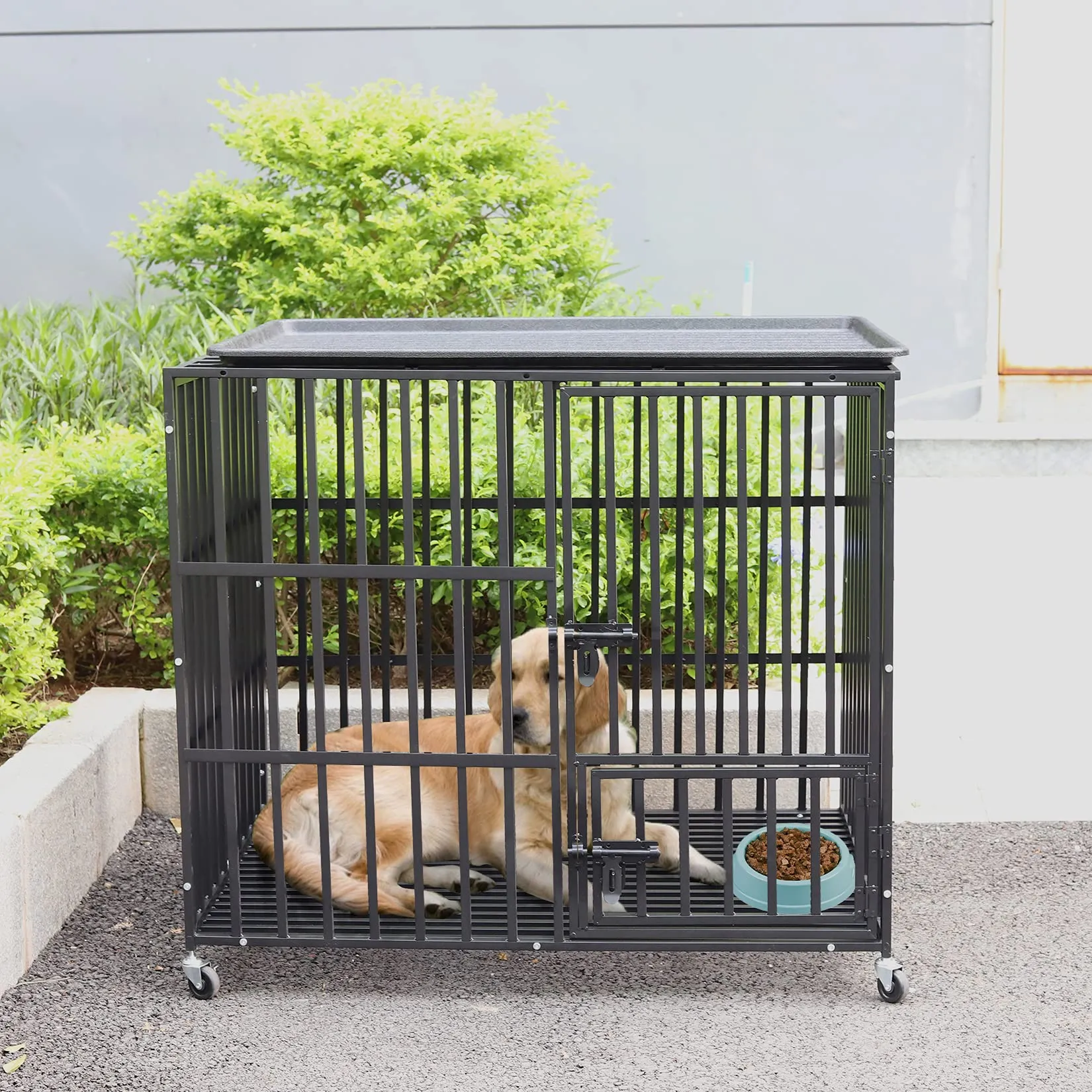 BingoPaw Gabbia Robusta per cani Antimorso: XL Gabbia Rinforzata per cani Taglia Grande Kennel Cane con Ruote Interno Trasportino Resistente Metallo Struttura Pesante, 2 Chiavistelli 107x77,5x88,5cm - immagine 9