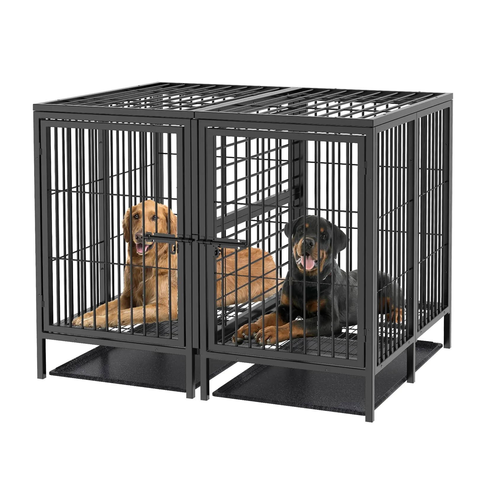 BingoPaw Resistente Gabbia per cani: 130cm Più Grande Kennel per Cane Box Metallo Struttura Rialzata con Divisorio Rimovibile 2 Porte Indistruttibile per 2 cani di Taglia Piccola e Media - immagine 1