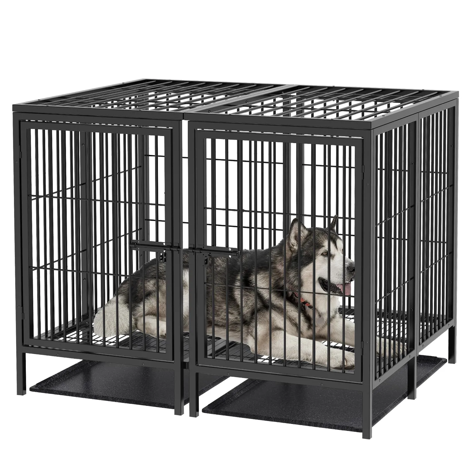 BingoPaw Resistente Gabbia per cani: 130cm Più Grande Kennel per Cane Box Metallo Struttura Rialzata con Divisorio Rimovibile 2 Porte Indistruttibile per 2 cani di Taglia Piccola e Media - immagine 2
