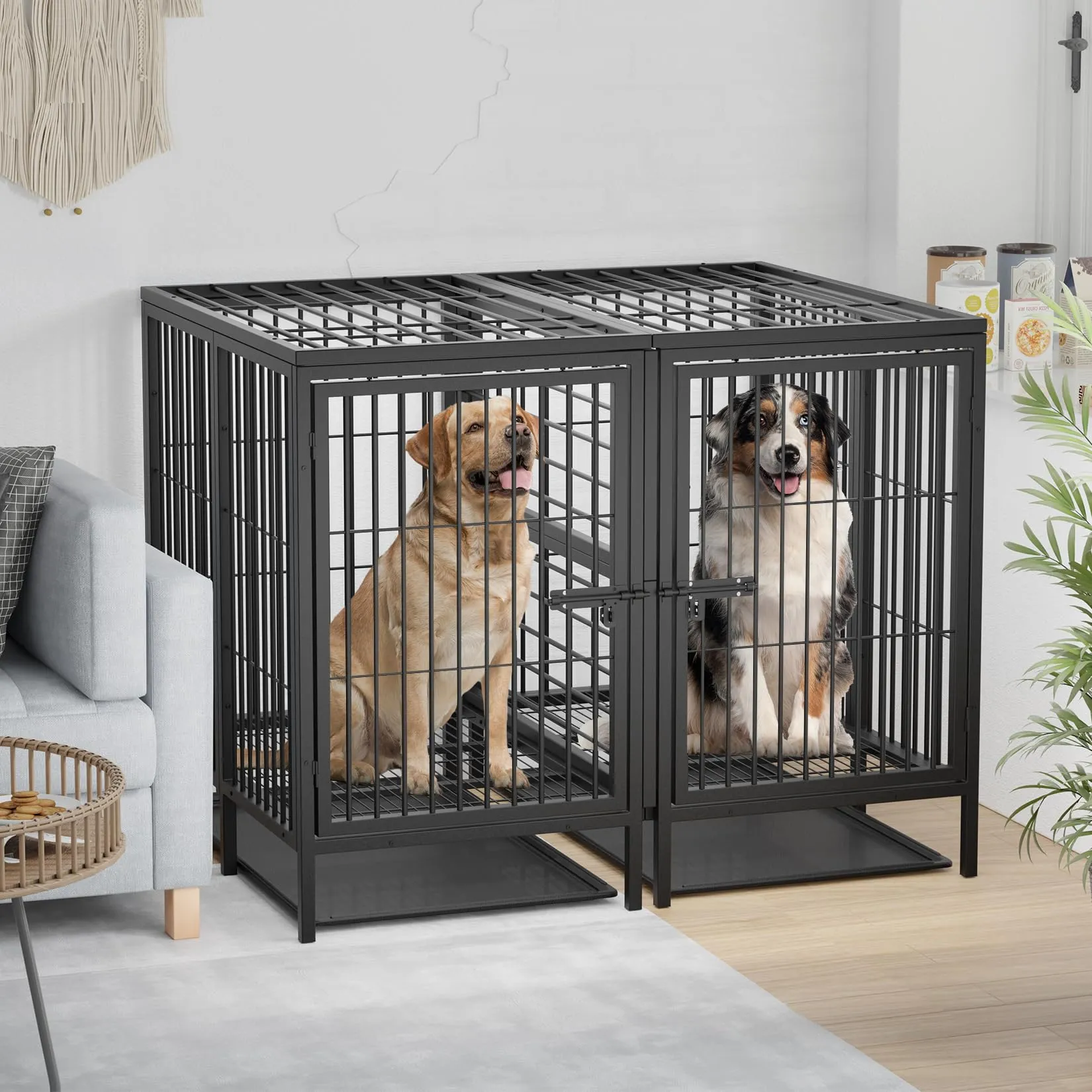 BingoPaw Resistente Gabbia per cani: 130cm Più Grande Kennel per Cane Box Metallo Struttura Rialzata con Divisorio Rimovibile 2 Porte Indistruttibile per 2 cani di Taglia Piccola e Media - immagine 7