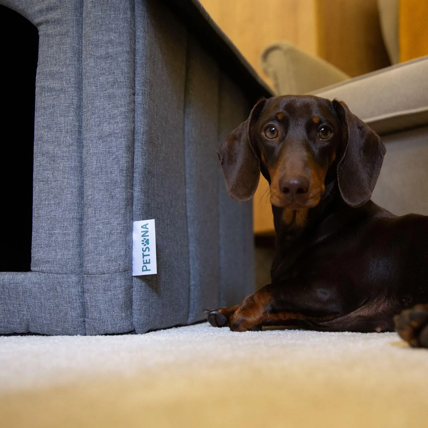 Petsona Grotta Per Cani Pieghevole Casa Per Cani Con Tetto Rimovibile Letto Per Gatti Animali Domestici Cuccia Per Cani Taglia XXL, Grigio - immagine 2