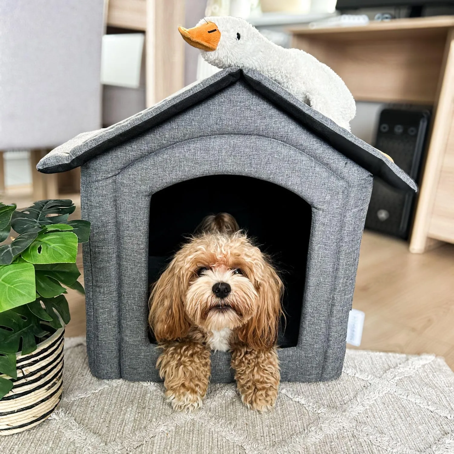Petsona Grotta Per Cani Pieghevole Casa Per Cani Con Tetto Rimovibile Letto Per Gatti Animali Domestici Cuccia Per Cani Taglia L, Grigio - immagine 5