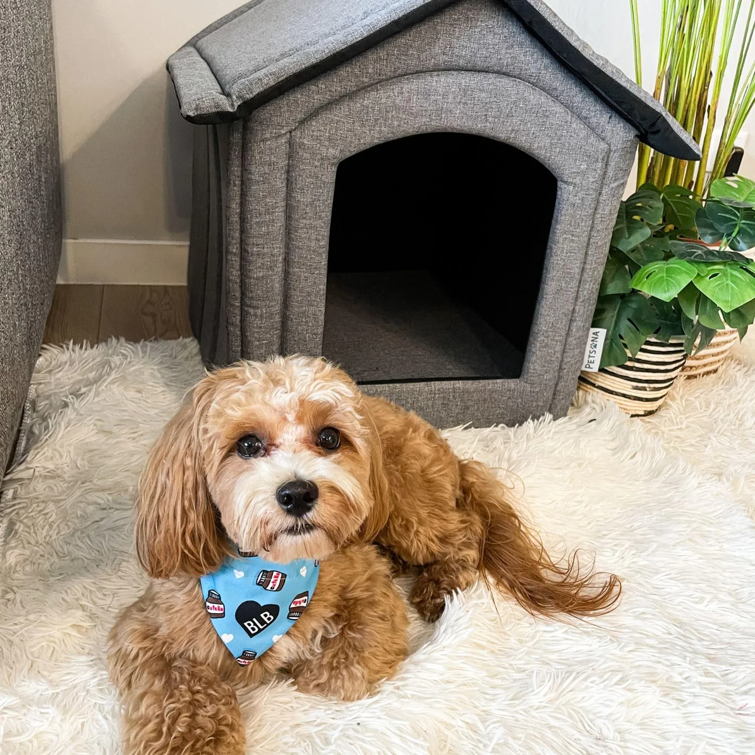 Petsona Grotta Per Cani Pieghevole Casa Per Cani Con Tetto Rimovibile Letto Per Gatti Animali Domestici Cuccia Per Cani Taglia L, Grigio - immagine 6